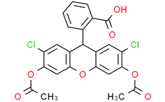 ROS荧光探针；2',7'-二氯荧光素二乙酸酯